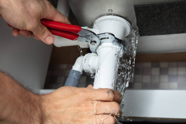 Best Mold removal after water damage  in Lake In The Hls, IL
