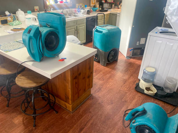 Best Mold removal after water damage  in Lake In The Hls, IL