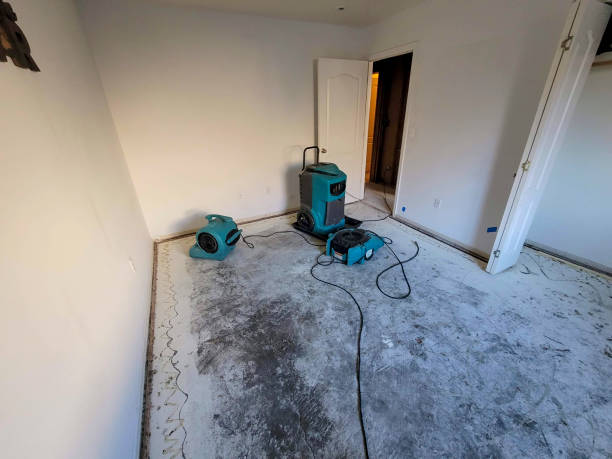 Best Residential water damage restoration  in Lake In The Hls, IL