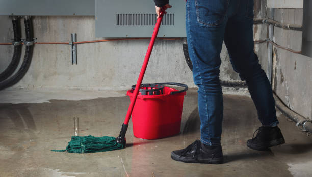 Best Water damage restoration near me  in Lake In The Hls, IL