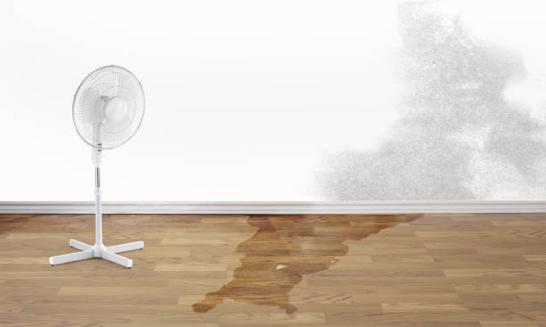 Best Commercial water damage restoration  in Lake In The Hls, IL