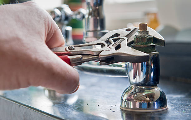 Best Professional water damage repair  in Lake In The Hls, IL