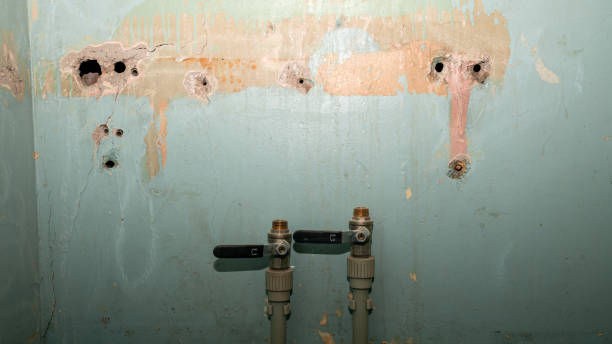 Best Carpet water damage restoration  in Lake In The Hls, IL