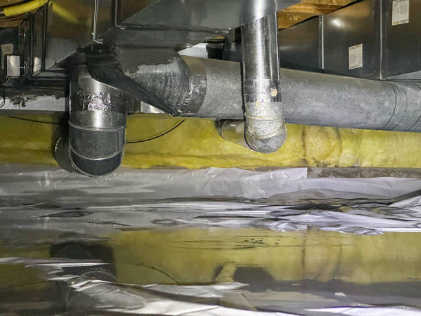 Best Basement water damage restoration  in Lake In The Hls, IL