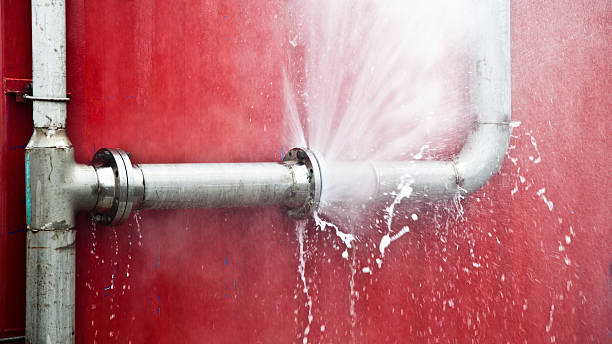 Best Carpet water damage restoration  in Lake In The Hls, IL